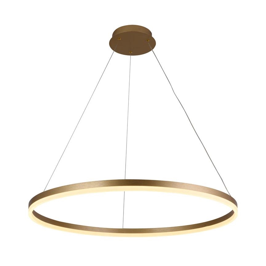 Dimmbare LED-Hängeleuchte an Schnur LED/55W/230V 3000-6500K + Fernbedienung