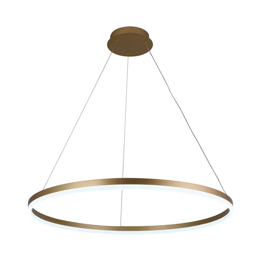 Dimmbare LED-Hängeleuchte an Schnur LED/55W/230V 3000-6500K + Fernbedienung