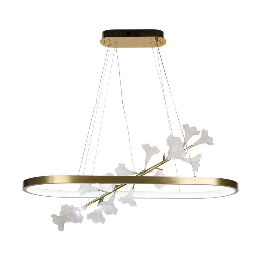Dimmbare LED-Hängeleuchte an Schnur LED/55W/230V 3000-6500K + Fernbedienung