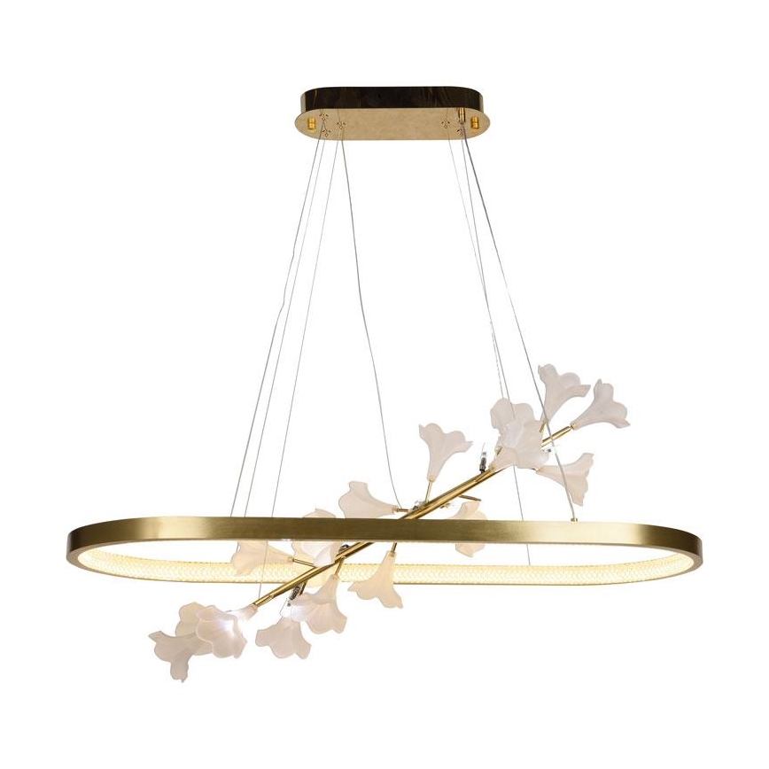 Dimmbare LED-Hängeleuchte an Schnur LED/55W/230V 3000-6500K + Fernbedienung