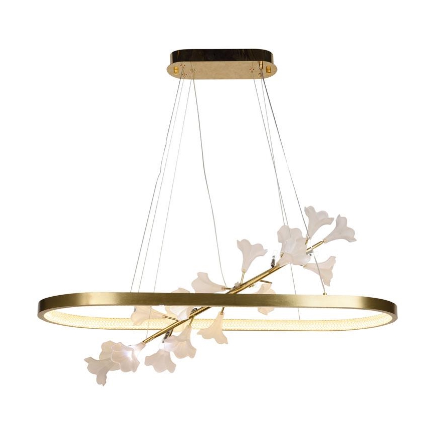 Dimmbare LED-Hängeleuchte an Schnur LED/65W/230V 3000-6500K + Fernbedienung