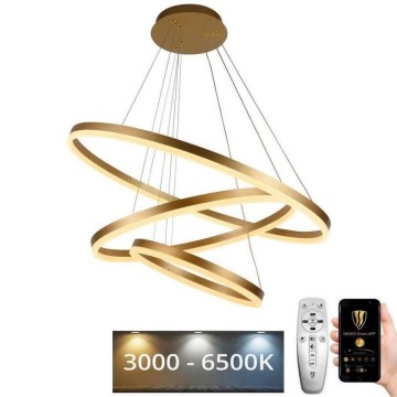 Dimmbare LED-Hängeleuchte LED/125W/230V 3000-6500K d 80 cm + Fernbedienung