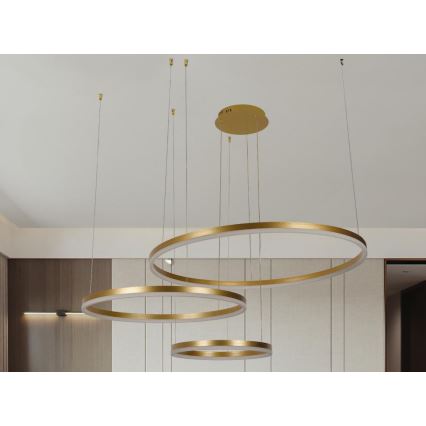 Dimmbare LED-Hängeleuchte LED/125W/230V 3000-6500K + Fernbedienung