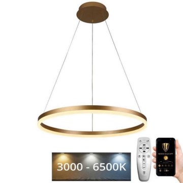 Dimmbare LED-Hängeleuchte LED/42W/230V 3000-6500K d 60 cm + Fernbedienung