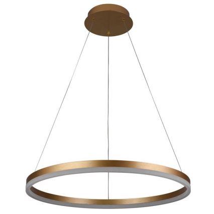 Dimmbare LED-Hängeleuchte LED/42W/230V 3000-6500K d 60 cm + Fernbedienung