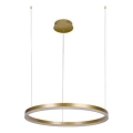 Dimmbare LED-Hängeleuchte LED/42W/230V 3000-6500K + Fernbedienung