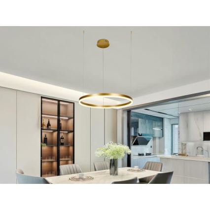 Dimmbare LED-Hängeleuchte LED/42W/230V 3000-6500K + Fernbedienung