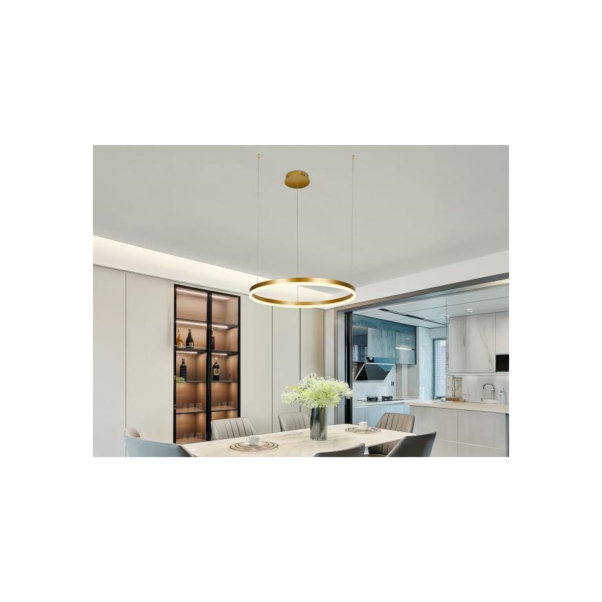 Dimmbare LED-Hängeleuchte LED/42W/230V 3000-6500K + Fernbedienung