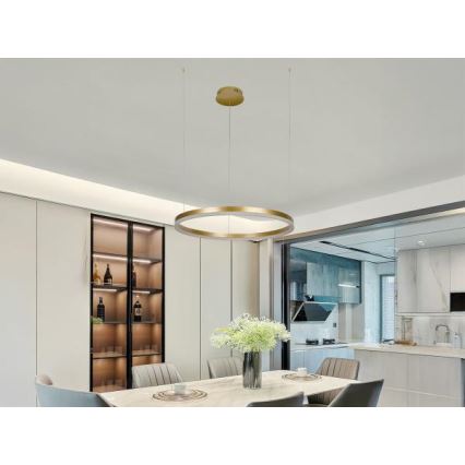 Dimmbare LED-Hängeleuchte LED/42W/230V 3000-6500K + Fernbedienung