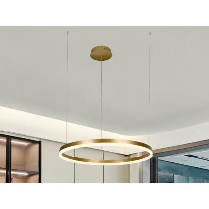 Dimmbare LED-Hängeleuchte LED/42W/230V 3000-6500K + Fernbedienung