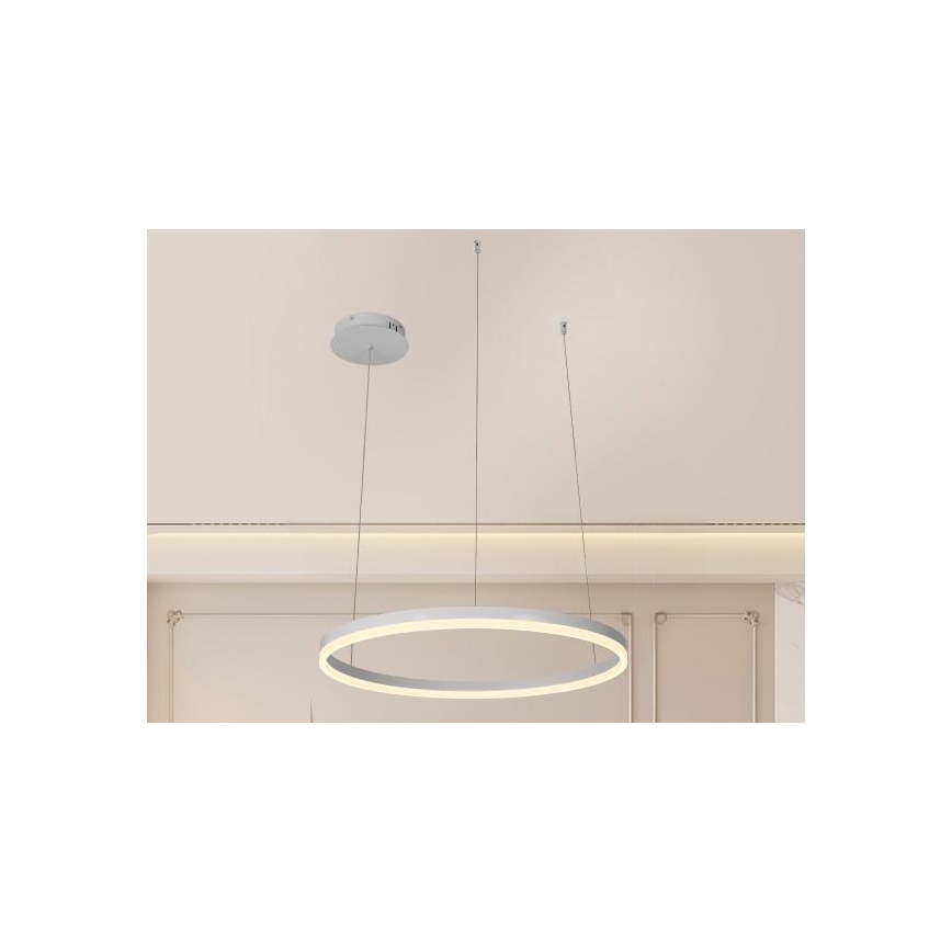 Dimmbare LED-Hängeleuchte LED/42W/230V 3000-6500K + Fernbedienung
