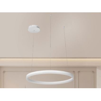 Dimmbare LED-Hängeleuchte LED/42W/230V 3000-6500K + Fernbedienung