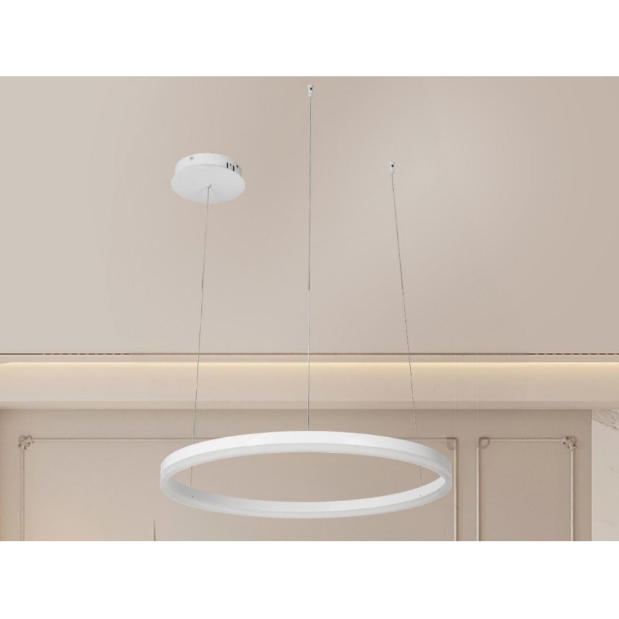 Dimmbare LED-Hängeleuchte LED/42W/230V 3000-6500K + Fernbedienung