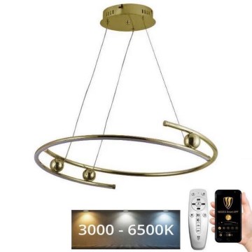 Dimmbare LED-Hängeleuchte LED/50W/230V 3000-6500K d 60 cm + Fernbedienung