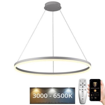 Dimmbare LED-Hängeleuchte LED/55W/230V 3000-6500K d 80 cm + Fernbedienung