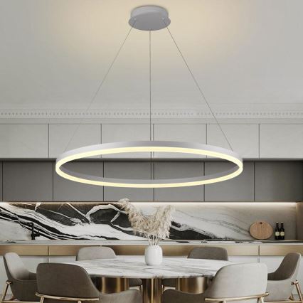 Dimmbare LED-Hängeleuchte LED/55W/230V 3000-6500K d 80 cm + Fernbedienung