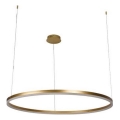 Dimmbare LED-Hängeleuchte LED/55W/230V 3000-6500K + Fernbedienung