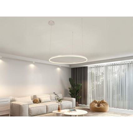 Dimmbare LED-Hängeleuchte LED/55W/230V 3000-6500K + Fernbedienung