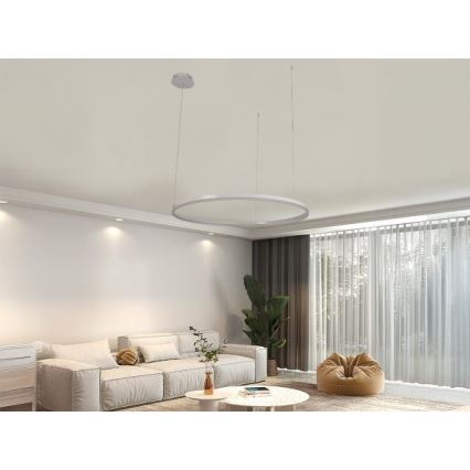 Dimmbare LED-Hängeleuchte LED/55W/230V 3000-6500K + Fernbedienung