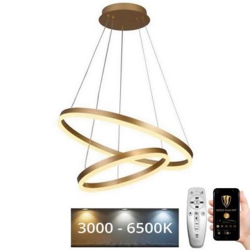 Dimmbare LED-Hängeleuchte LED/70W/230V 3000-6500K d 60 cm + Fernbedienung