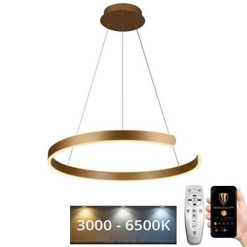 Dimmbare LED-Hängeleuchte LED/70W/230V 3000-6500K d 60 cm + Fernbedienung