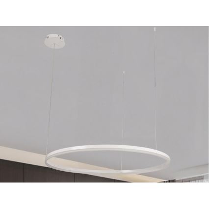 Dimmbare LED-Hängeleuchte LED/72W/230V 3000-6500K d 100 cm + Fernbedienung