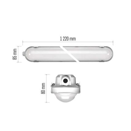 Dimmbare LED-Hochleistungsleuchte MISTY LED/21/26/31/35W/230V 6500K IP66