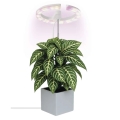 Dimmbare LED-Innenlampe zur Pflanzenaufzucht GROW LED/8W/5V