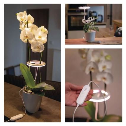 Dimmbare LED-Innenlampe zur Pflanzenaufzucht GROW LED/8W/5V