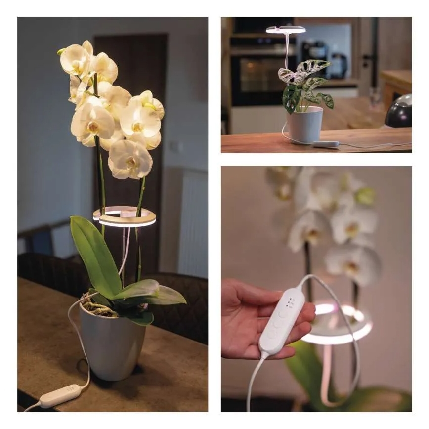 Dimmbare LED-Innenlampe zur Pflanzenaufzucht GROW LED/8W/5V