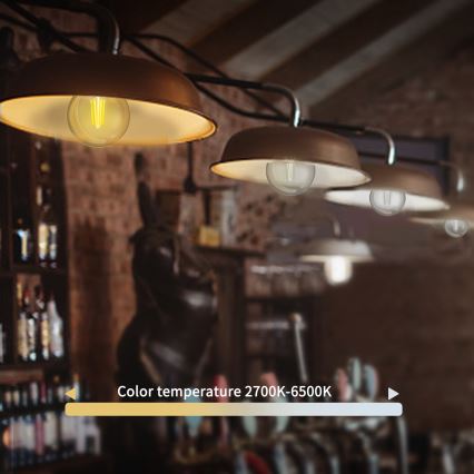 Dimmbare LED-Lampe FILAMENT G45 E27/4,5W/230V 2700-6500K Wi-Fi - Aigostar