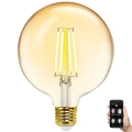 Dimmbare LED-Lampe FILAMENT MESH Smart G125 E27/6W/230V 2700-6500K - Aigostar
