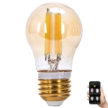 Dimmbare LED-Lampe FILAMENT MESH Smart G45 E27/4,5W/230V 2700-6500K - Aigostar