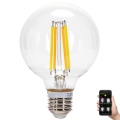 Dimmbare LED-Lampe FILAMENT MESH Smart G80 E27/6W/230V 2700-6500K - Aigostar