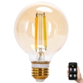 Dimmbare LED-Lampe FILAMENT MESH Smart G80 E27/6W/230V 2700-6500K - Aigostar