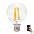 Dimmbare LED-Lampe FILAMENT MESH Smart G95 E27/6W/230V 2700-6500K - Aigostar