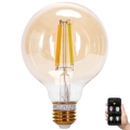 Dimmbare LED-Lampe FILAMENT MESH Smart G95 E27/6W/230V 2700-6500K - Aigostar