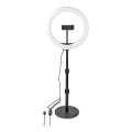 Dimmbare LED-Lampe mit Ständer und Halterung für Vlogging LED/6W/USB 2700-6700K