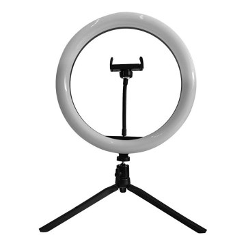 Dimmbare LED-Lampe mit Stativ und Halterung für das Vlogging LED/10W/5V 3200-5500K