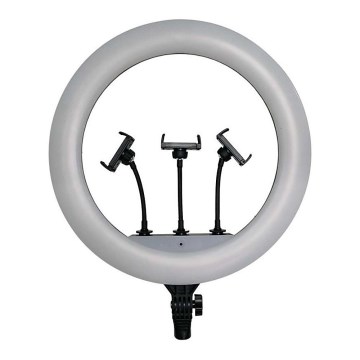 Dimmbare LED-Lampe mit Stativ und Halterung zum Vloggen LED/55W/230V CRI 90 + Fernbedienung
