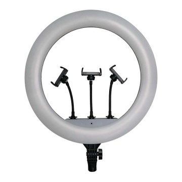 Dimmbare LED-Leuchte mit Gestell und Halterung für Vlogging LED/55W/230V CRI 90 + Fernbedienung