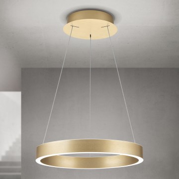 Dimmbare LED-Pendelleuchte an Kabel KOLK LED/40W/230V 2700/3000/4000K Ø 40 cm goldfarben