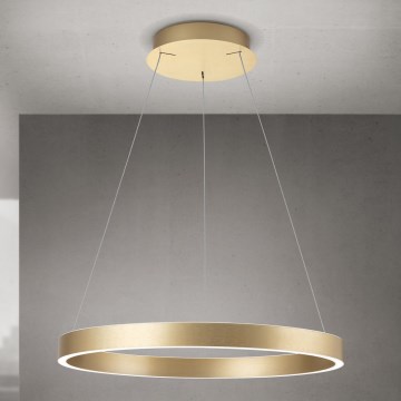 Dimmbare LED-Pendelleuchte an Seil KOLK LED/60W/230V 2700/3000/4000K Ø 60 cm gold