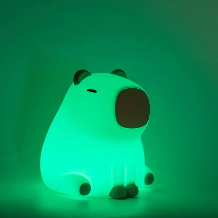 Dimmbare LED-RGBW-Kinderleuchte mit Touch-Funktion LED/1W/5V USB 1200 mAh Wasserschwein