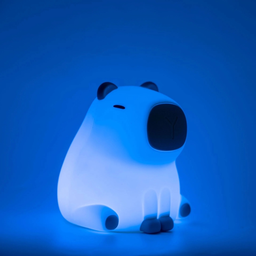 Dimmbare LED-RGBW-Kinderleuchte mit Touch-Funktion LED/1W/5V USB 1200 mAh Wasserschwein
