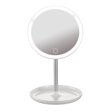 Dimmbarer Kosmetikspiegel mit LED-Beleuchtung LED/4W/5V USB