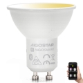 Dimmbares LED-Leuchtmittel GU10/6,5W/230V 2700-6500K - Aigostar