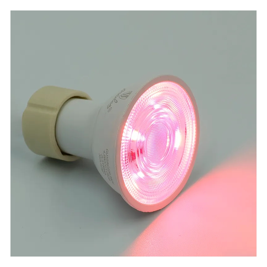 Dimmbares LED-RGBW-Leuchtmittel GU10/4,5W/230V 2700-6500K Wi-Fi Tuya