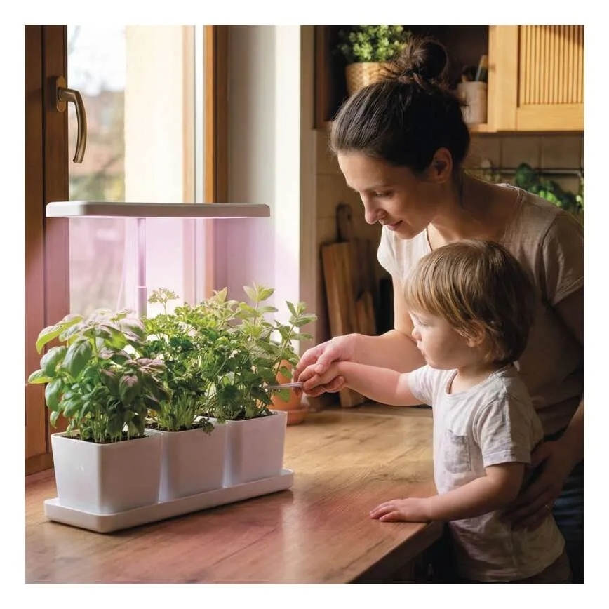 Dimmbares LED-Zuchtlicht für den Innenbereich GROW LED/7W/5V