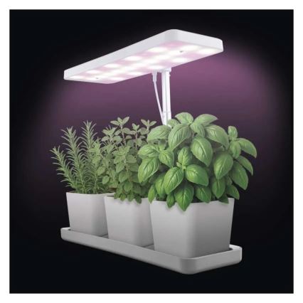 Dimmbares LED-Zuchtlicht für den Innenbereich GROW LED/7W/5V